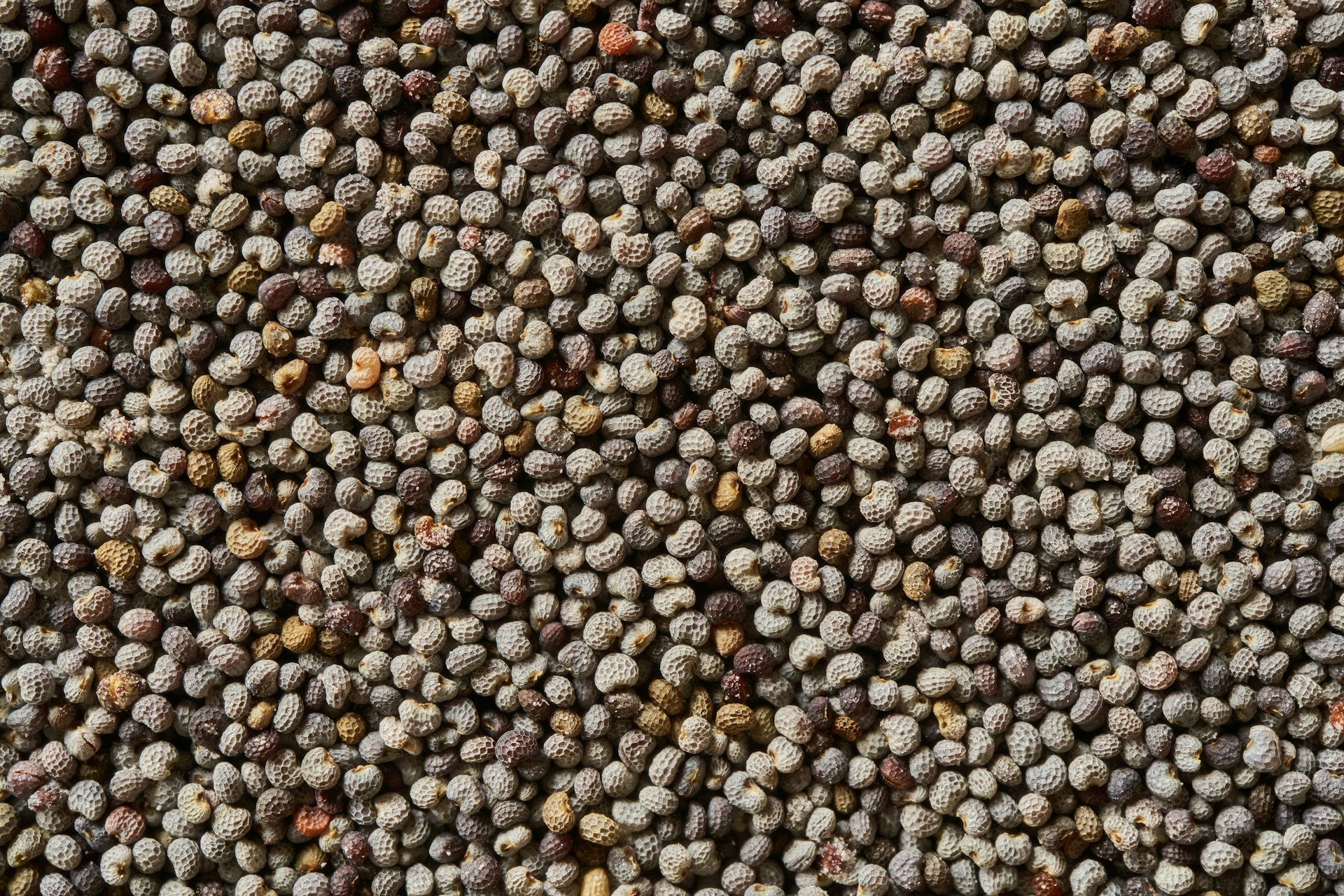 brown and black pebbles on ground